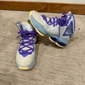 Nike LeBron basketball shoes